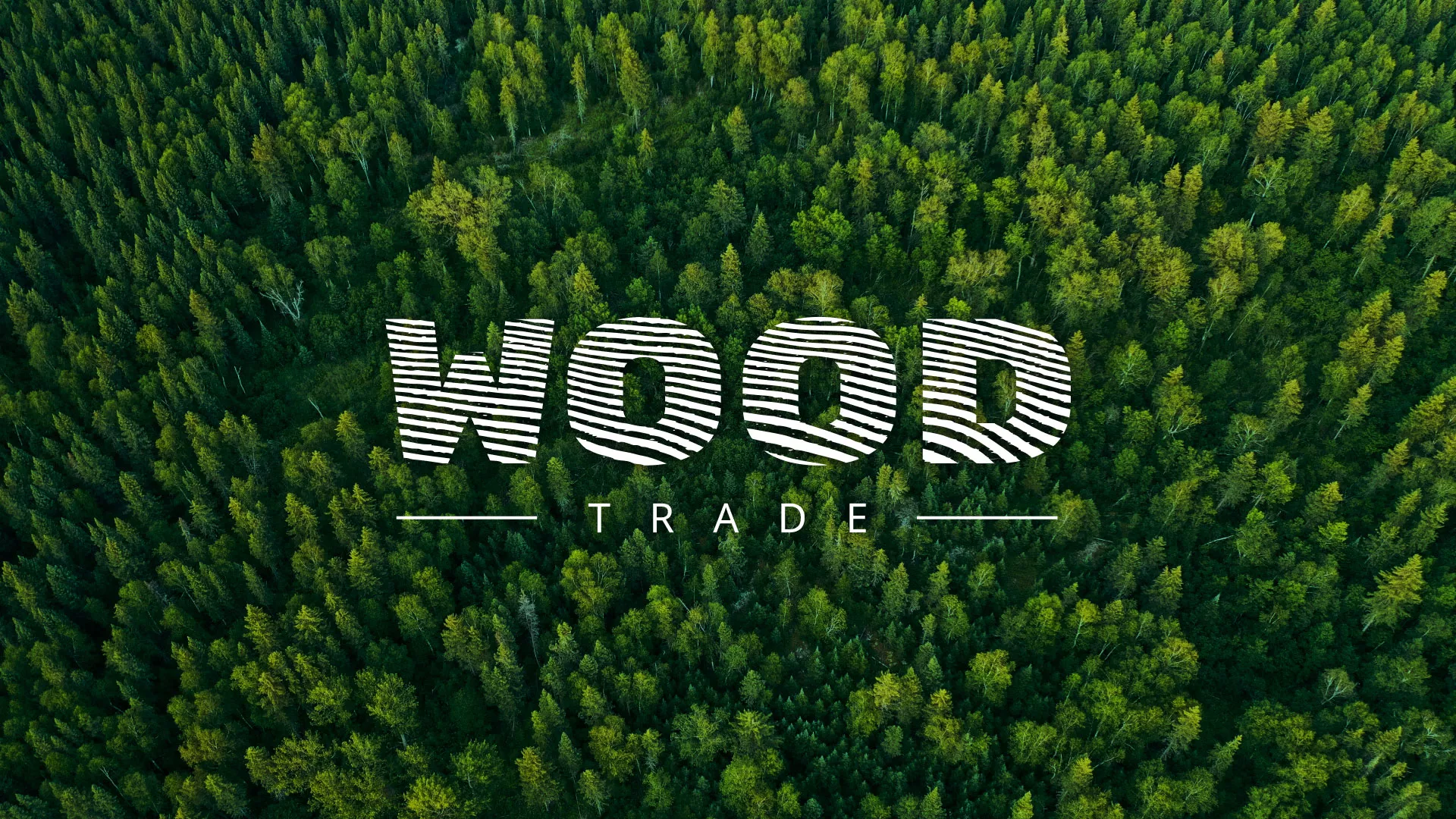 Разработка интернет-магазина компании «Wood Trade» в Апатитах